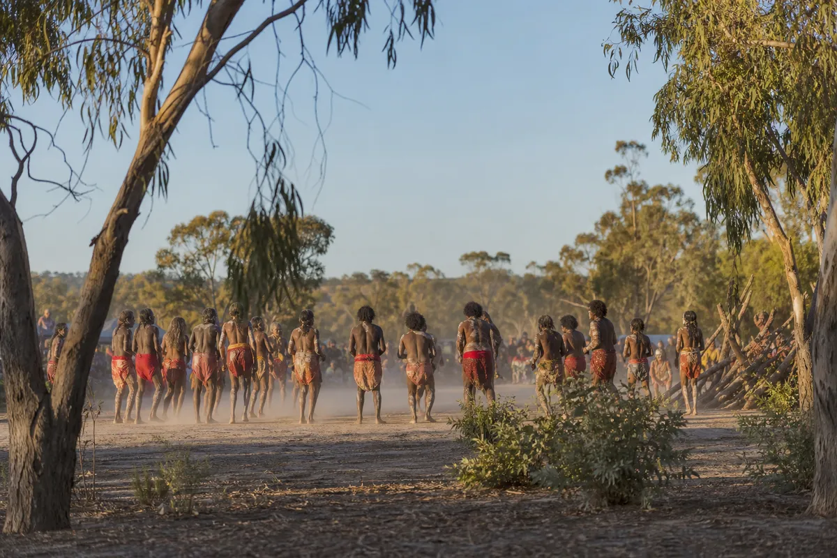 Illustration of a respectful cultural gathering in a South Australian natural landscape.